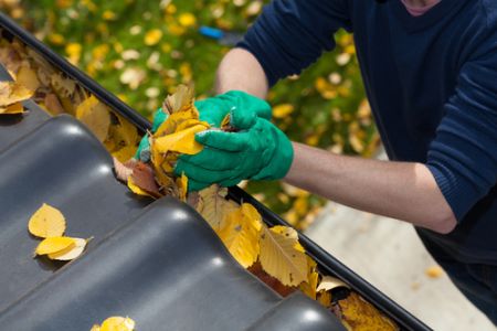 Everett pressure washing