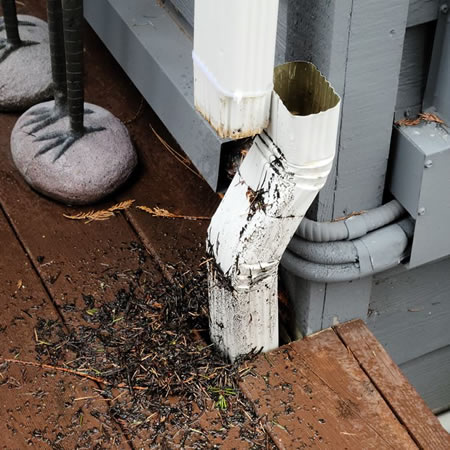 Technician clearing monroe wa home gutters before a summer storm